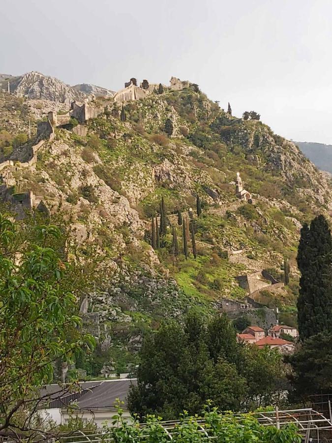 Marina 2 Apartman Kotor