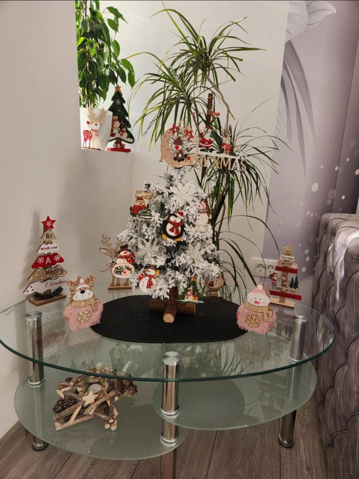 Apartman Marina 2 Kotor